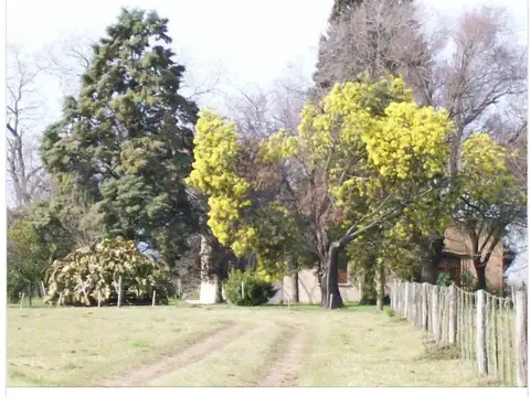 Campo en Lisandro Olmos Etcheverry