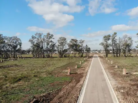 Terreno en Venta de 535,0 m2
