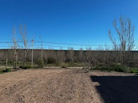 LOTE DEFORESTADO Y NIVELADO, LA FORESTADA, AÑELO