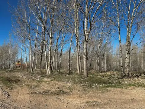 LOTE DEFORESTADO Y NIVELADO, LA FORESTADA, AÑELO