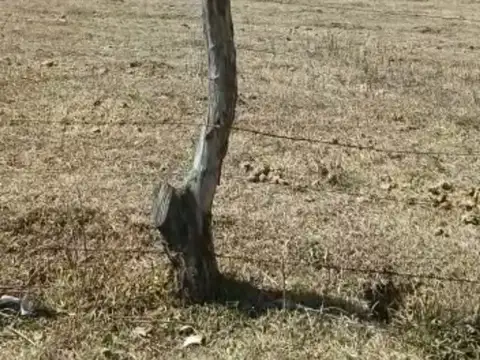 Terreno en Venta en El Rosario, USD 58.900