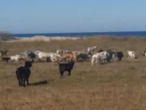 Terreno en Venta de 1000000,0 m2