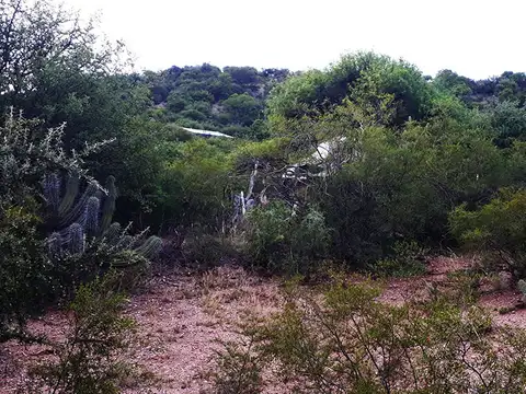 Vendo lote de 2500 m² en la Lomita, San Marcos Sierras