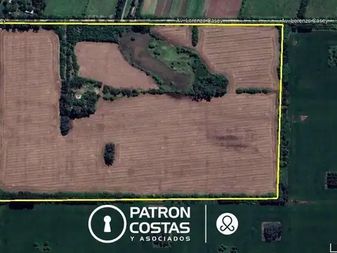 venta campo agricola lujan  ruta 5 -38 has