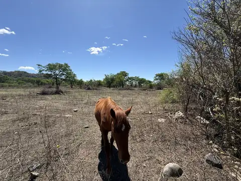 Terreno en Venta en El Encón, USD 90.000