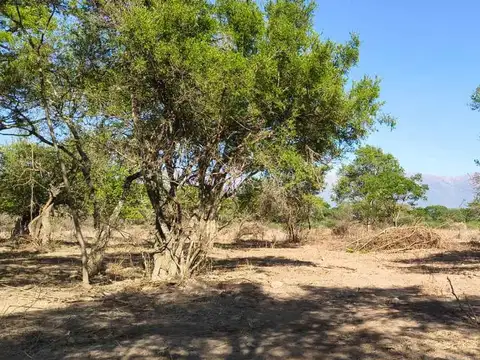 Terreno en Venta de 8000,0 m2