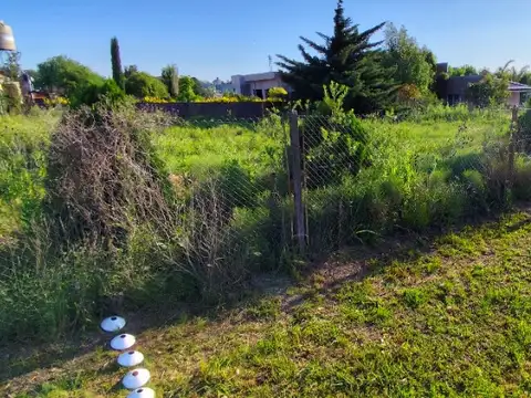 Terreno en Venta 20  mts Fondo