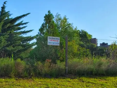 Lavalle, Punta Chacra Zavalla 100