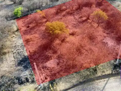 Terreno en Venta en Coronel Moldes, USD 10.000