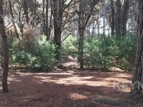 Terreno en Venta de 711,0 m2