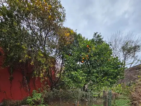 Terreno en Venta en Saladillo, USD 80.000