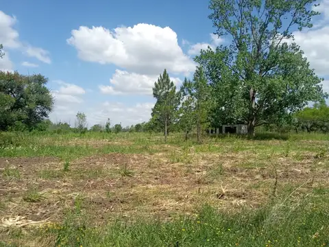 Campo en Venta de 25  ha