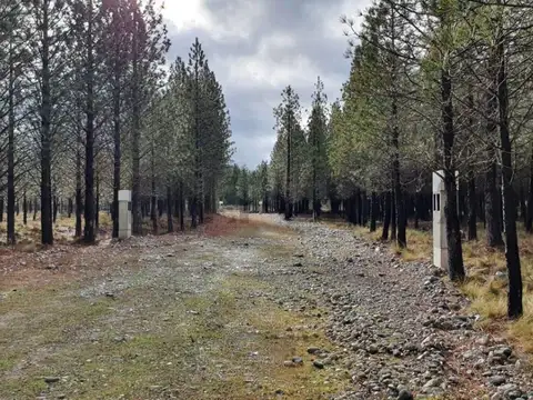 Campo en Venta de 9,57  ha