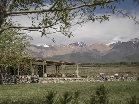 Terreno con vista a la montaña 5.000 mt2 Mendoza