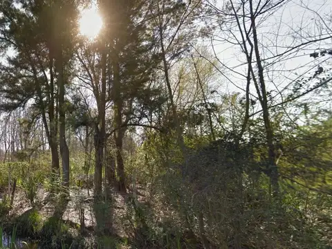 Villa la Ñata - Tigre