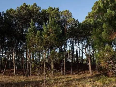 Terreno en Venta de 1050,0 m2