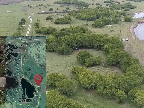 CAMPO EN VENTA       82 HECTAREAS      GRAL JUAN MADARIAGA