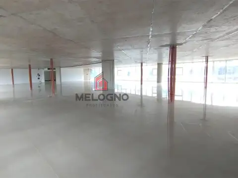 Oficina  576m2 en K41  - Francisco Alvarez.