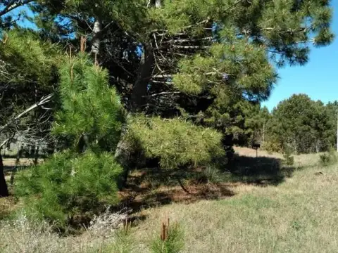 Terreno en Venta en Las Gaviotas, USD 38.000