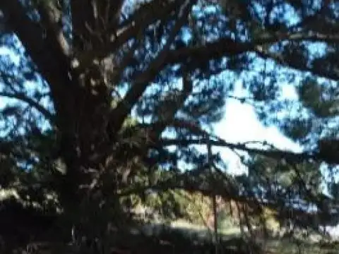 Terreno en Venta de 685,0 m2