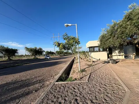 Terreno en Venta de 300,0 m2