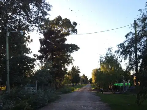 Terreno - Venta - Argentina, DOMSELAAR - SARMIENTO 3700