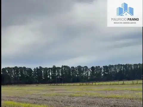 Chacra en venta de 17ha ubicado en Parque Exaltación