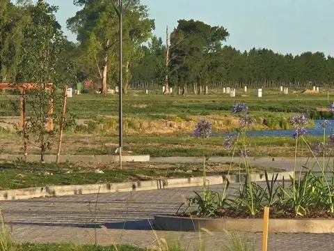 Terreno en Venta de 842,0 m2