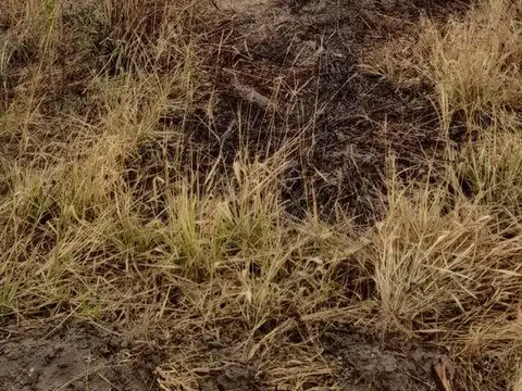 Terreno en Venta de 800,0 m2