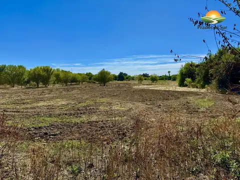 Terreno en Longchamps