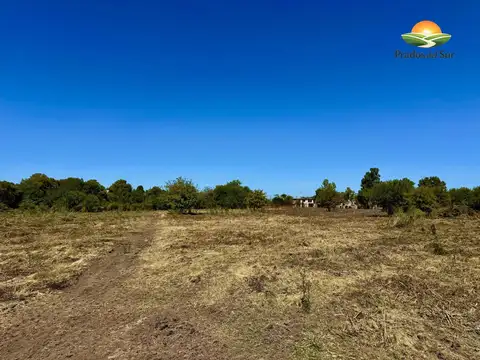 Terreno en Venta 29  mts Fondo