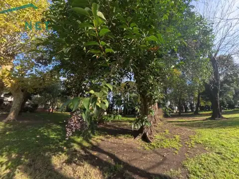 Chacra con casa, galpón y casa de huéspedes en Venta - en Suipacha con pileta