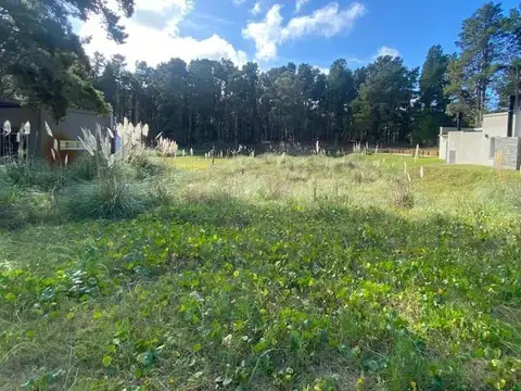 Terreno en Venta de 1000,0 m2