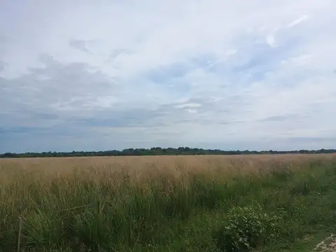 Camino rural