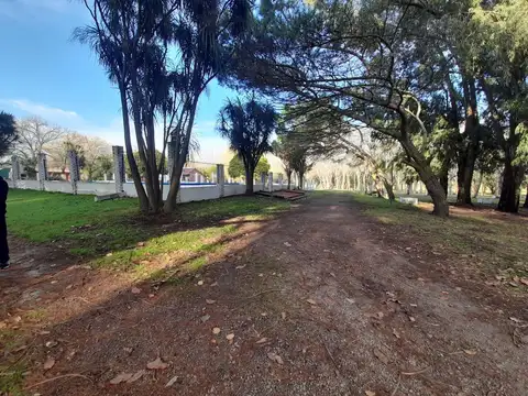 Ruta 226