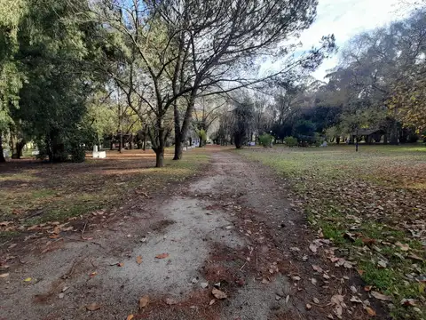 Venta de