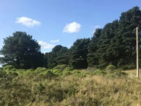 Terreno en Venta de 445,0 m2