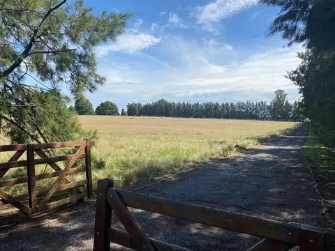 CAMPO CON CASCO EN VENTA LIMA - ZARATE