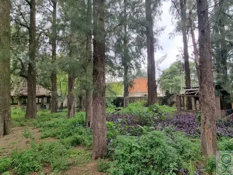 El Buceo entre Beruti y Machado