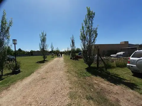 Brugheti