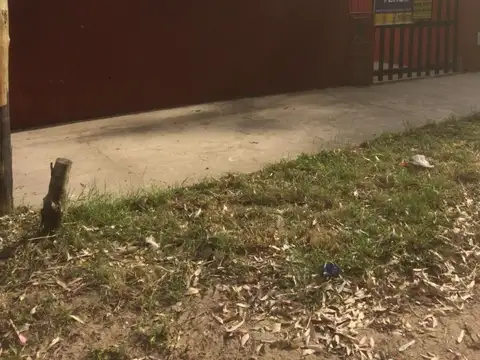 57 N°330(REF140205)