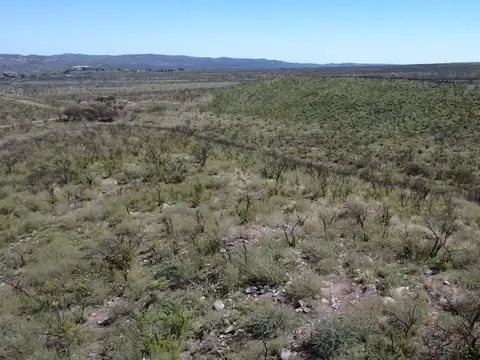 Avenida Cecilia Grierson 1600