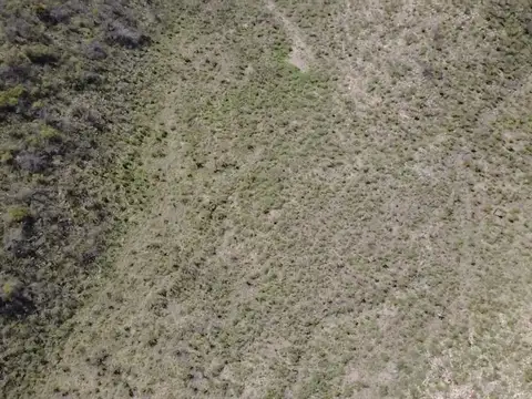 Venta de 11 Ha y 5497 m2