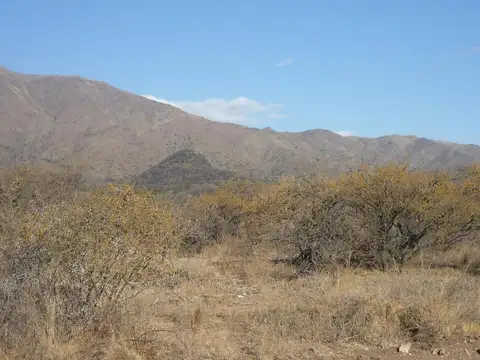 Terreno en Venta de 2500,0 m2