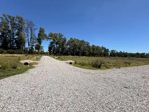 Terreno en Venta de 1655,0 m2