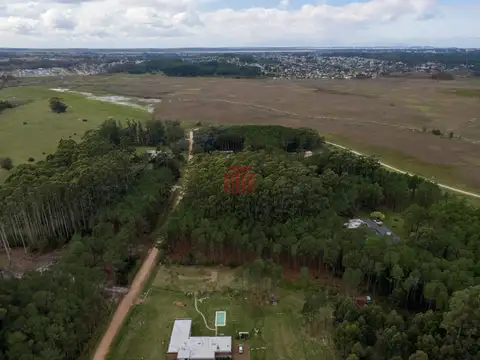 Terreno en Venta en Punta Ballena, USD 230.000