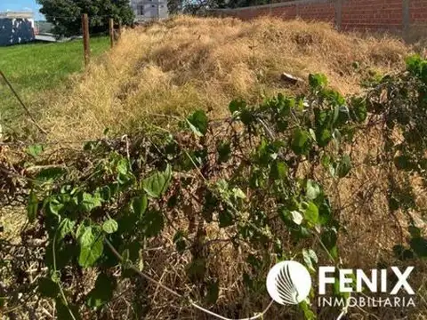 MAIPU ENTRE MISIONES Y HUMBOLDT 1000