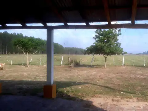 Campo en Venta Chacra