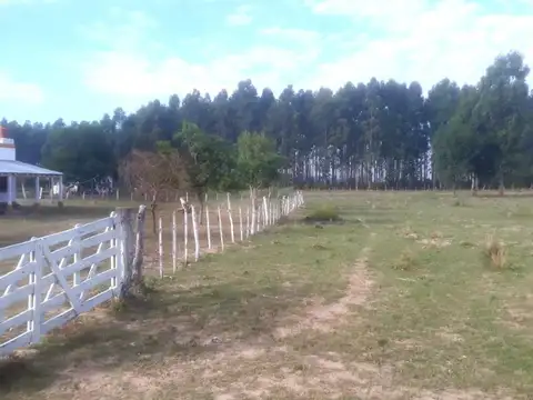Ruta 12 Km 600