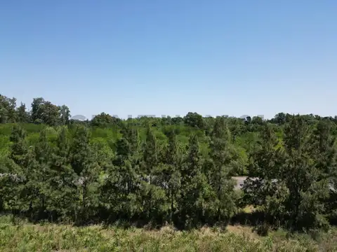 637 e/ 13 y 16 Arana, 4 hectáreas con 169 mts sobre Avenida